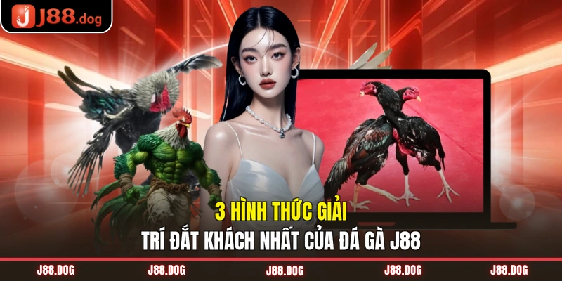 3 hình thức giải trí đắt khách nhất của đá gà J88