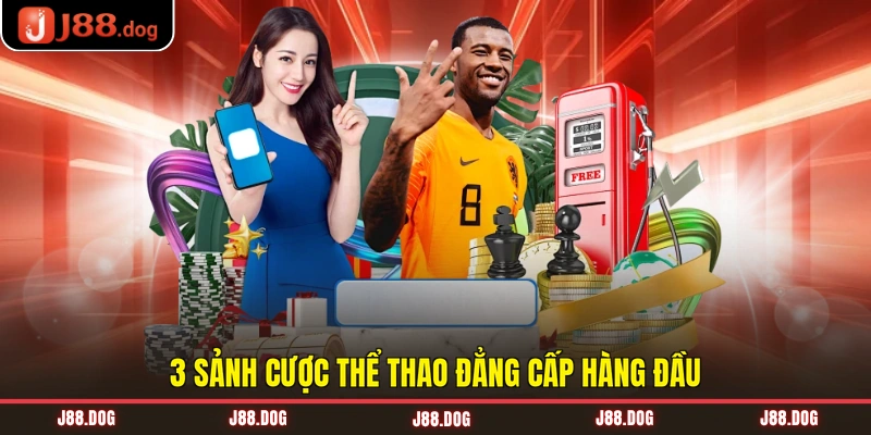 3 sảnh cược thể thao đẳng cấp hàng đầu